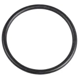 uszczelka-o-ring-293300059