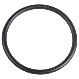 uszczelka-o-ring-293300059