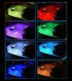 ambiente-led-rgb-ledy-producent-ledprojektor