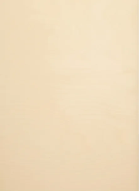 Sklejka drewniana 30x20x0,3 cm klasa 2