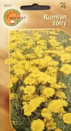 rumian-zolty-nasiona-skalniak-bylina-skarpa