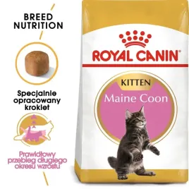 royal-canin-maine-coon-kitten-10kg-karma-sucha-dla-kociat-do-15-miesiaca