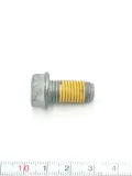 sruba-m10x20-brp-250001046