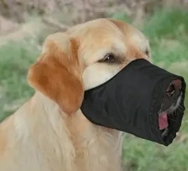 trixie-kaganiec-dla-psa-nylonowy-xs-s