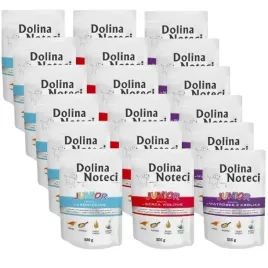 dolina-noteci-premium-junior-mix-smakow-18x300g