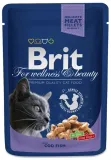 brit-cat-fish-dorsz-100g