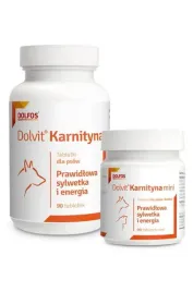 dolvit-karnityna-90-tabletek