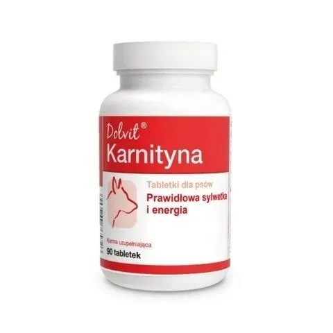 dolvit-karnityna-90-tabletek