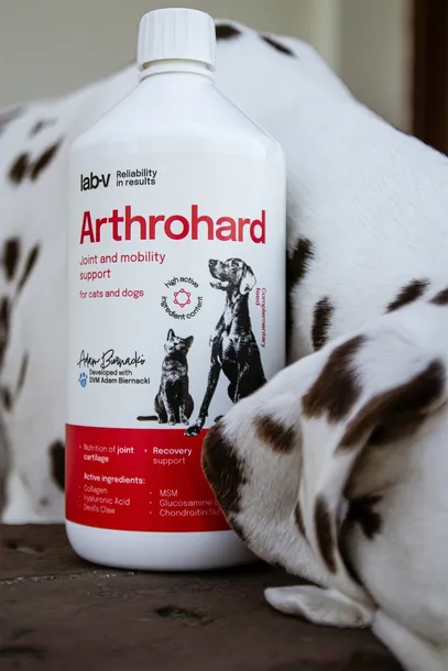 lab-v-arthrohard-1000ml-preparat-na-wsparcie-stawow-dla-psa-i-kota
