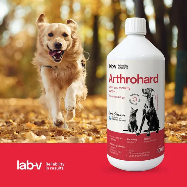 lab-v-arthrohard-1000ml-preparat-na-wsparcie-stawow-dla-psa-i-kota