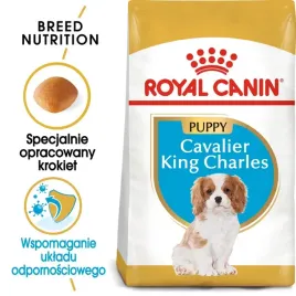 royal-canin-cavalier-king-charles-spaniel-puppy-15kg-karma-sucha-dla-szcze