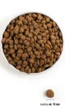 orijen-puppy-large-6kg