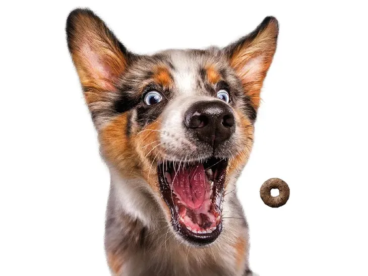 josera-loopies-wolowina-150g