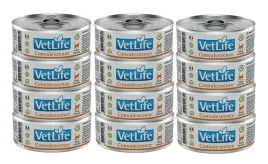 farmina-vet-life-convalescence-cat-12x85g
