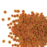 tetra-tetrapro-colour-10-l