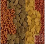 tetra-crusta-menu-100-ml