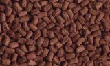 tetra-pokarm-tortoise-250-ml