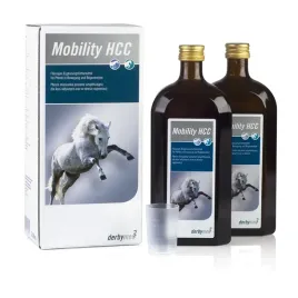 livisto-derbymed-mobility-hcc-2x500ml