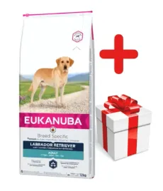 eukanuba-adult-labrador-retriever-12kg-niespodzianka-dla-psa-gratis