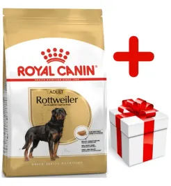 royal-canin-rottweiler-adult-12kg-karma-sucha-dla-psow-doroslych-rasy-rottw