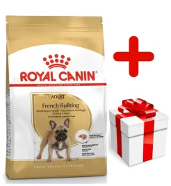 royal-canin-french-bulldog-adult-9kg-karma-sucha-dla-psow-doroslych-rasy-bu