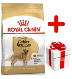 royal-canin-golden-retriever-adult-12kg-karma-sucha-dla-psow-doroslych-rasy