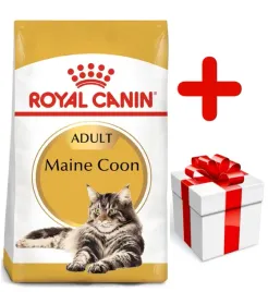 royal-canin-maine-coon-adult-10kg-niespodzianka-dla-kota-gratis