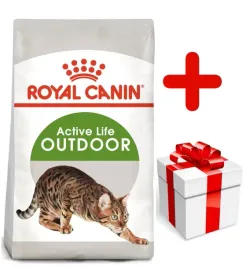 royal-canin-outdoor-30-10kg-karma-sucha-dla-kotow-doroslych-wychodzacych