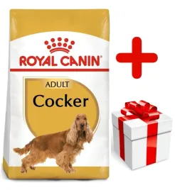 royal-canin-cocker-spaniel-adult-12kg-karma-sucha-dla-psow-doroslych-rasy-c