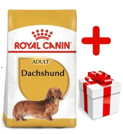 royal-canin-dachshund-75kg-karma-sucha-dla-psow-doroslych-rasy-jamnik-ni