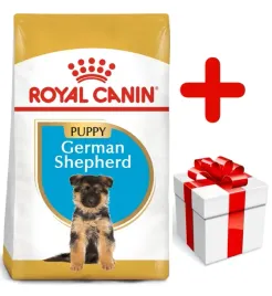 royal-canin-german-shepherd-puppy-12kg-karma-sucha-dla-szczeniat-do-15-mies