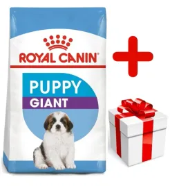 royal-canin-giant-puppy-15kg-karma-sucha-dla-szczeniat-od-2-do-8-miesiaca