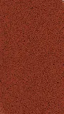 tetra-red-parrot-250ml