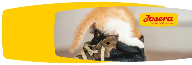 josera-kitten-2kg