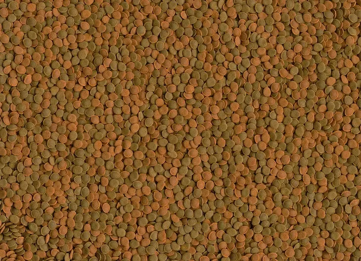 tetra-wafer-mini-mix-100ml