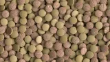 tetra-tablets-tabimin-xl-133tabl