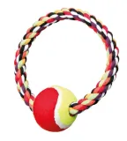 trixie-ringo-z-pilka