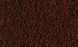 tetra-cichlid-algae-500ml