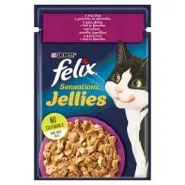 felix-kaczka-w-galaretce-ze-szpinakiem-saszetka-85g