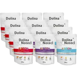 dolina-noteci-premium-junior-mix-smakow-12x300g