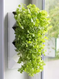 aquael-zielnik-scienny-versa-garden-herbs