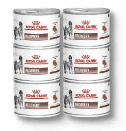 royal-canin-recovery-6x195g-puszka