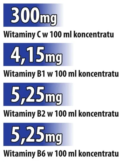 napoj-sportowy-refresh-light-malinowy-skladnik-dominujacy-kompleks-witamin-z-grupy-b
