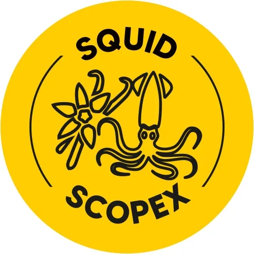 optimal-baits-pellet-zanetowy-squid-and-scopex-12mm-przeznaczenie-amury-jazie-karasie-karpie-klenie-leszcze-plocie