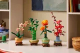 lego-botanical-collection-dracena-sandera-w-doniczce-10344-kod-producenta-10344