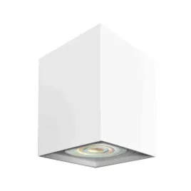 spot-bima-square-bialy-1xgu10