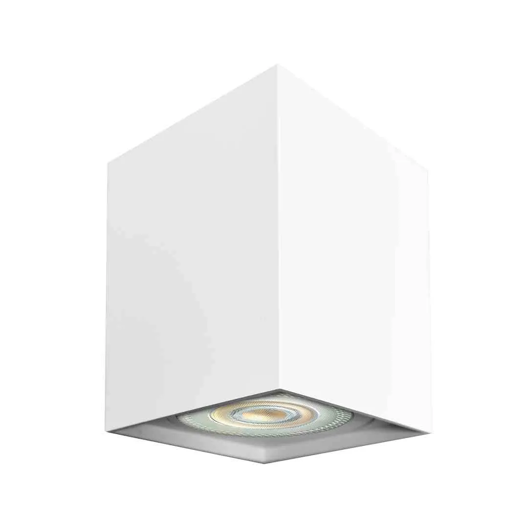 spot-bima-square-bialy-1xgu10
