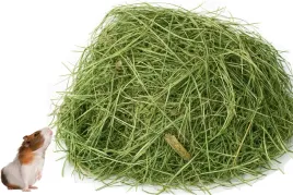 male-swinki-morskie-siano-od-rolnika-sianko-wegrowskie-pokarm-5kg-5000g