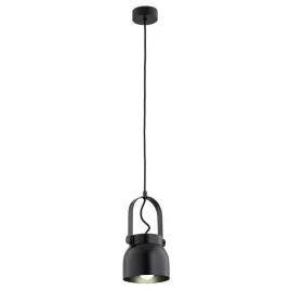 lampa-wiszaca-logan-o14-8291-argon