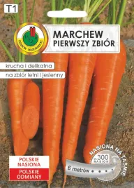 marchew-jadalna-pierwszy-zbior-6m-gc-t1-nasiona